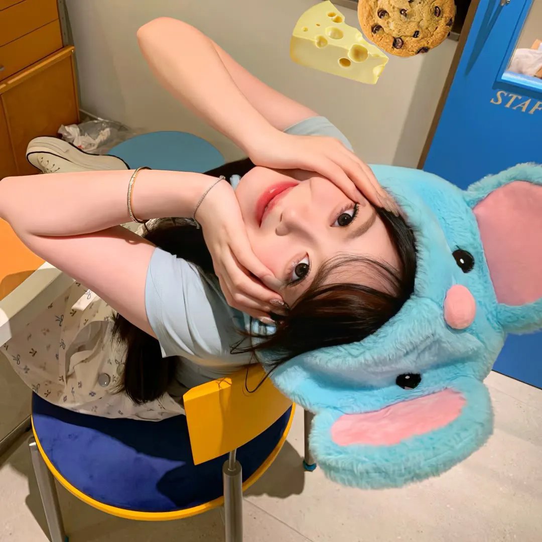 白色的南方